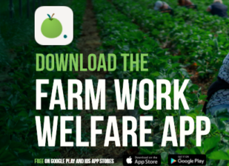 App allows public to report modern slavery on farms