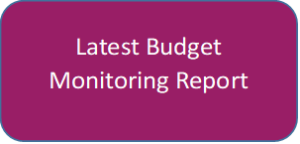 Latest Budget Monitoring Report